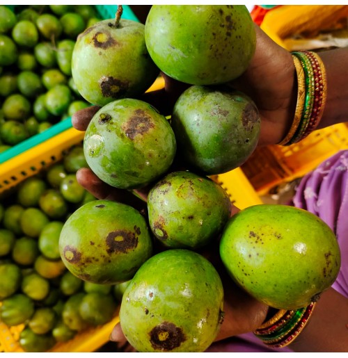 Nattumanga Mango (from Kerala) (3 - 5 days to ripen)